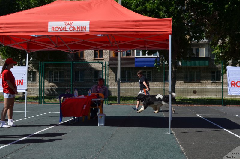 Фото: Наталья Киселёва