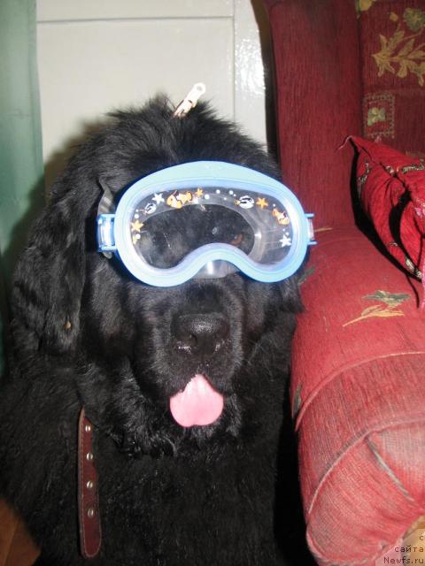 Фотография № 15602