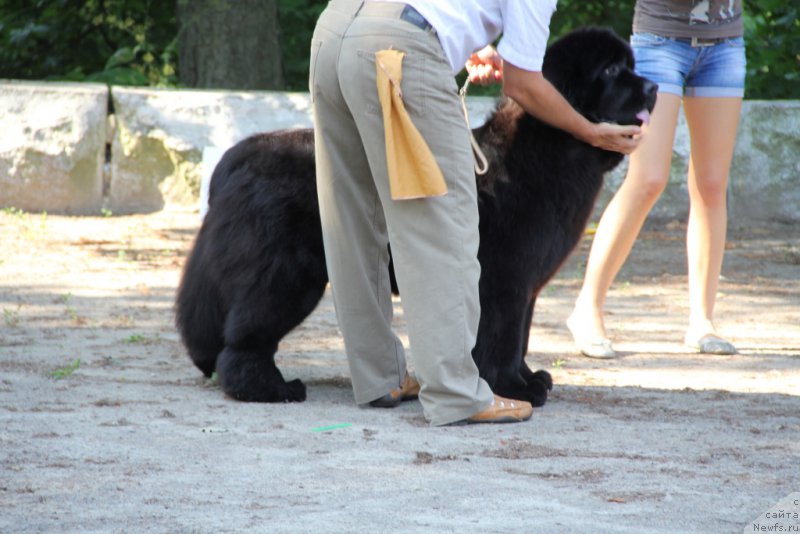 Фотография № 156021