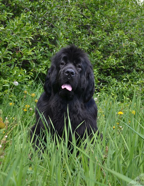 Фотография № 156022