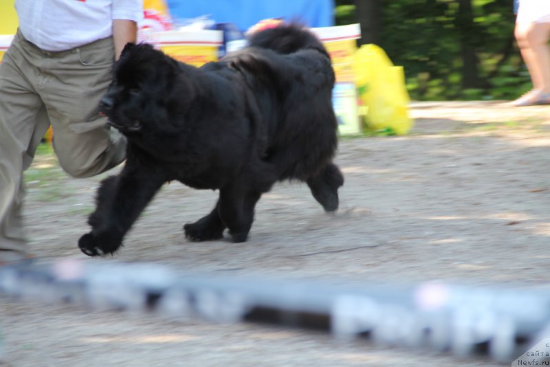 Фотография № 156028