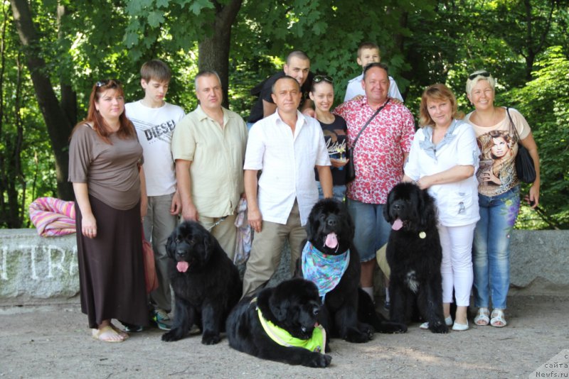 Фотография № 156030