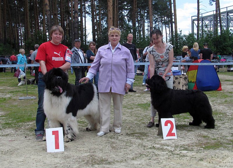 Фотография № 156034