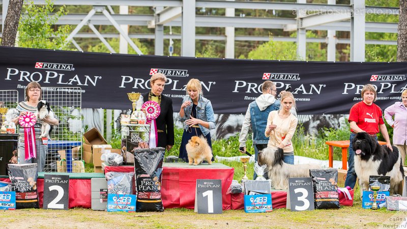 Фотография № 156036