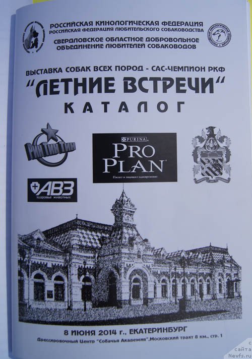 Фотография № 156045