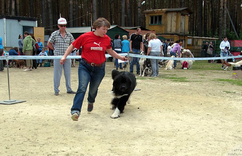 Фотография № 156052