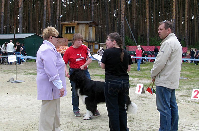 Фотография № 156053