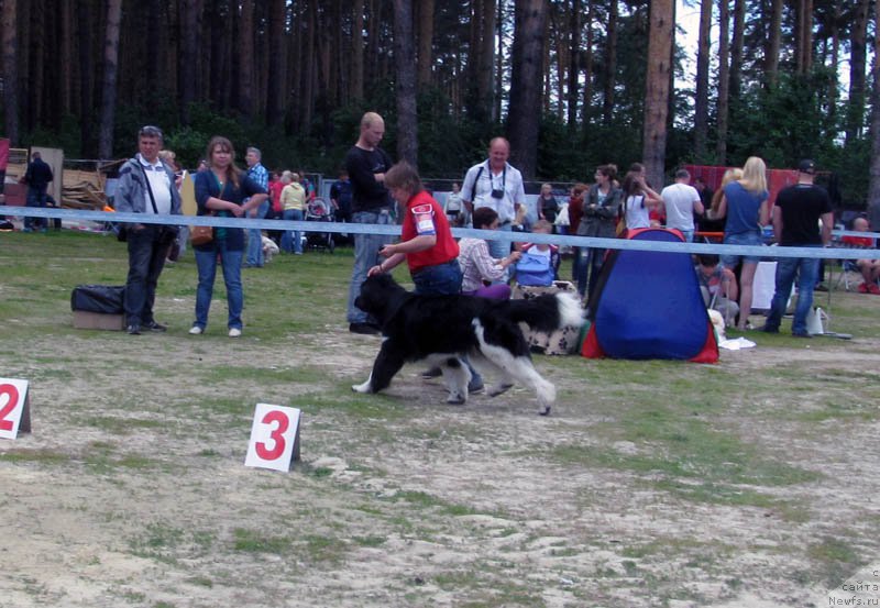 Фотография № 156054