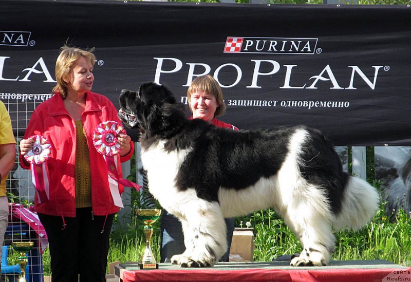 Фотография № 156056