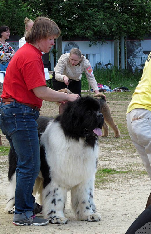 Фотография № 156057