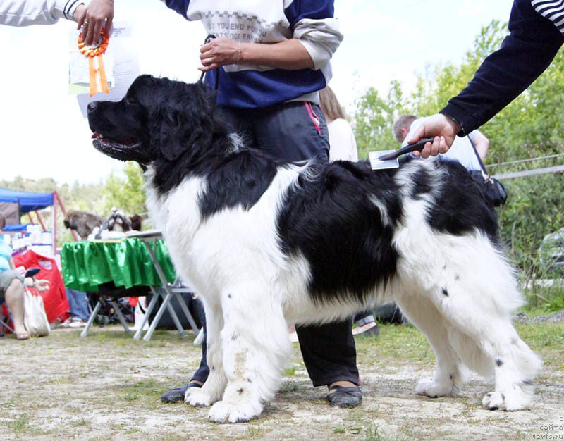 Фотография № 156059