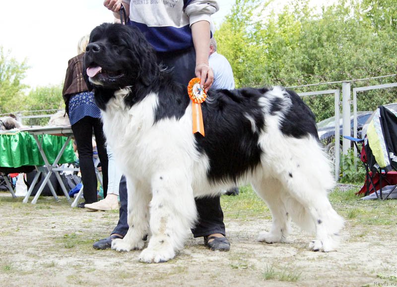 Фотография № 156060