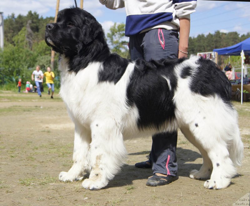 Фотография № 156064