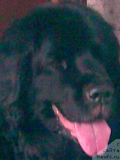 Фото: Александрович Кононенко