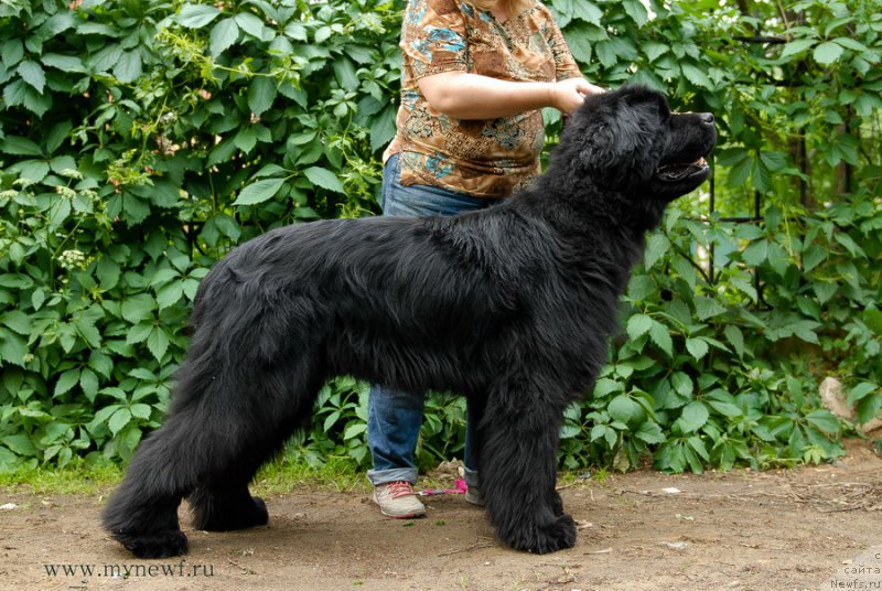 Фотография № 156087