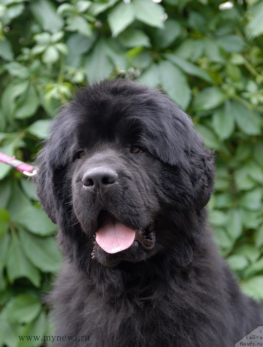 Фотография № 156089