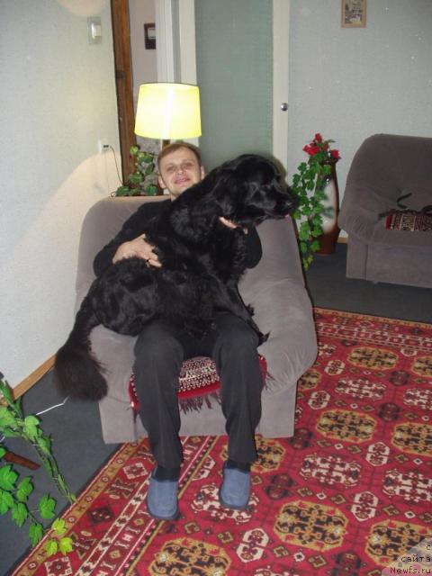 Фото: Александрович Кононенко