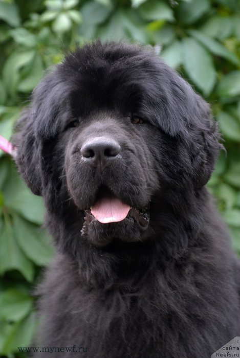 Фотография № 156090