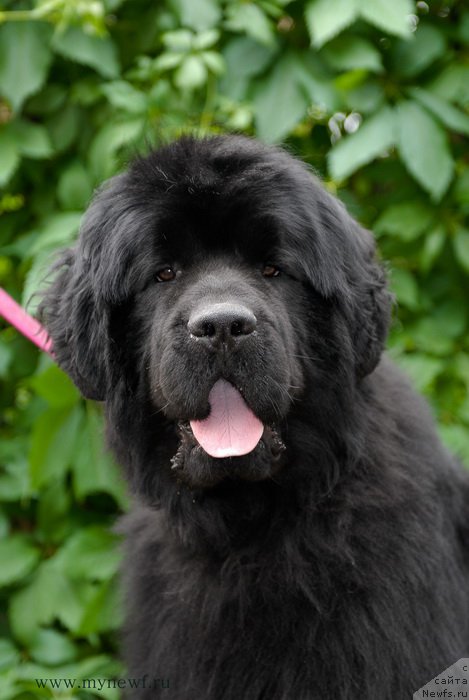 Фотография № 156091