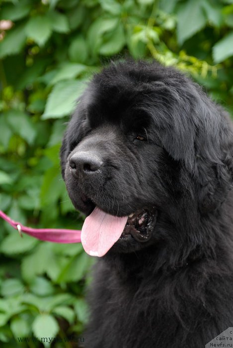 Фотография № 156092