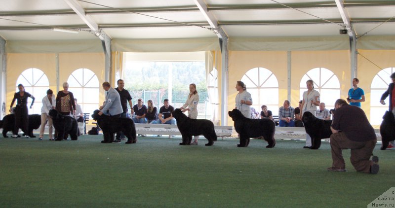 Фотография № 156102