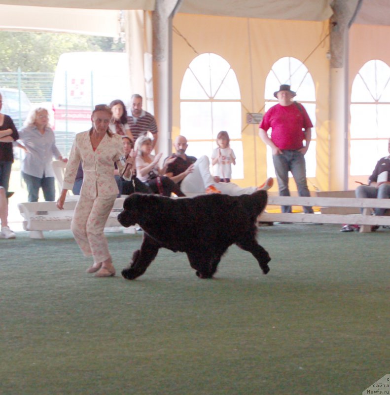 Фотография № 156104