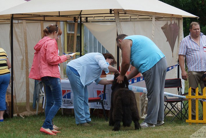 Фотография № 156150