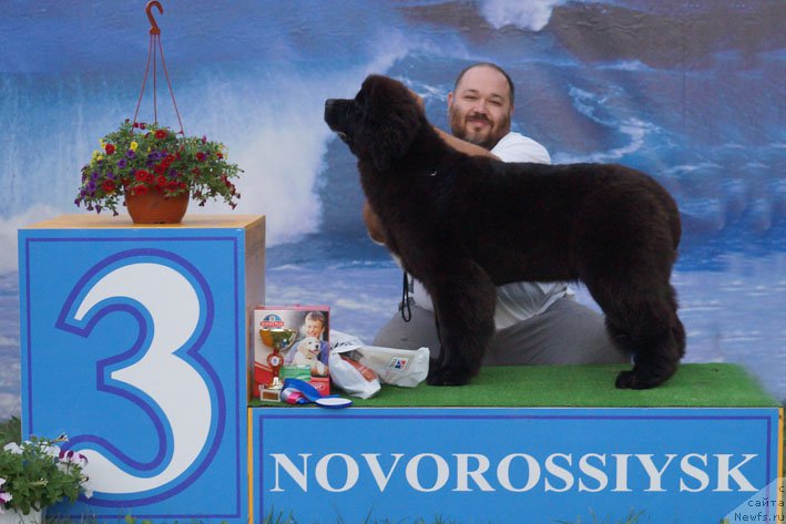 Фотография № 156152