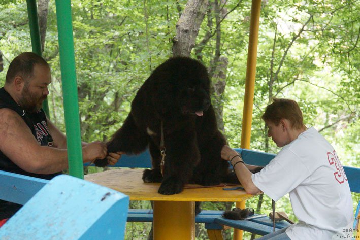 Фотография № 156154