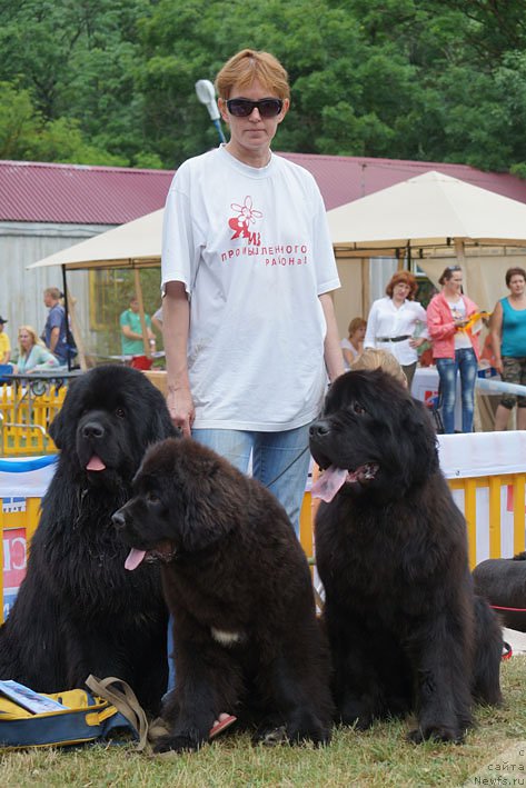 Фотография № 156155