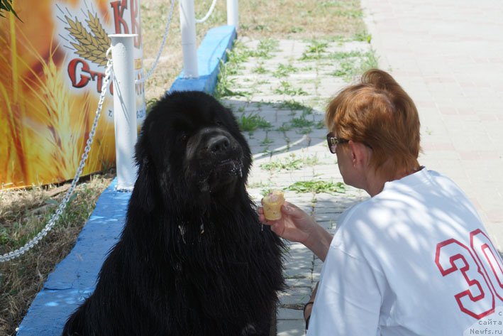 Фотография № 156159