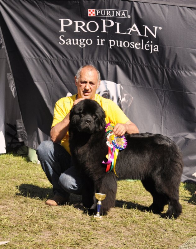 Фотография № 156162