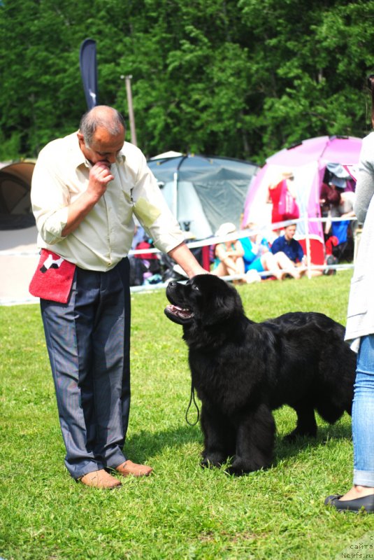 Фотография № 156164