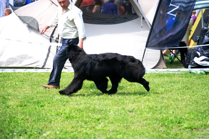 Фотография № 156165