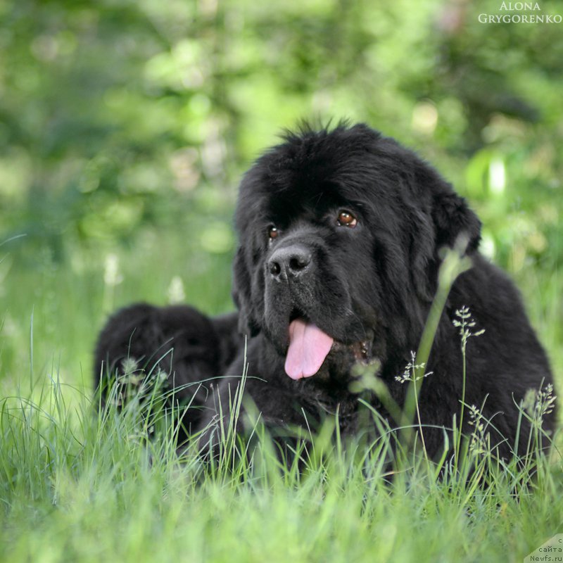 Фотография № 156168