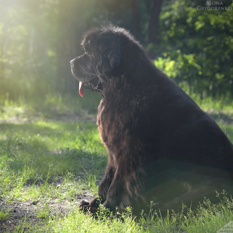 Фотография № 156171