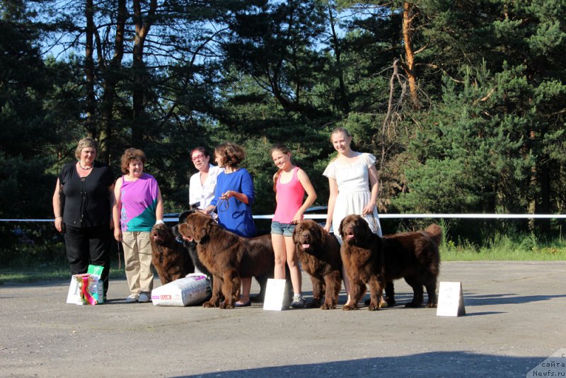 Фотография № 156204