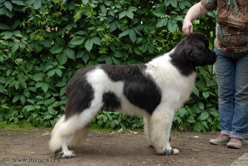 Фотография № 156248