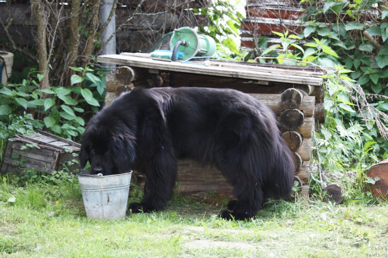 Фотография № 156291