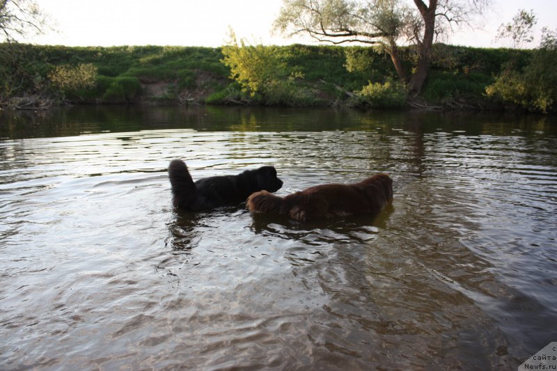 Фотография № 156294