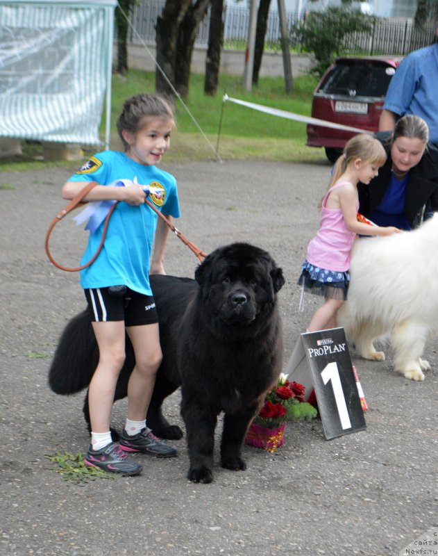 Фотография № 156298