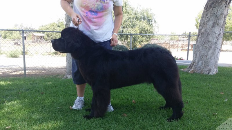 Фотография № 156336