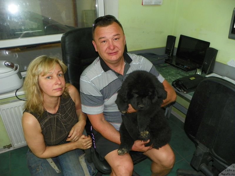 Фотография № 156338