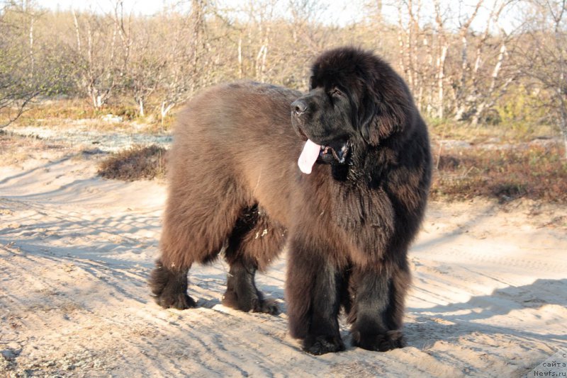 Фотография № 156364