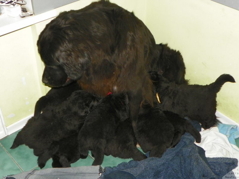 Фотография № 156369