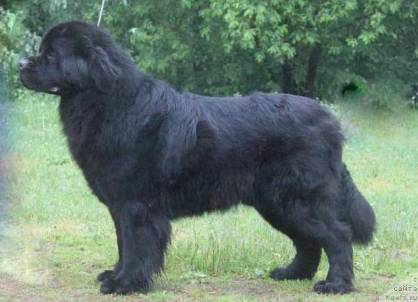 Фотография № 156377