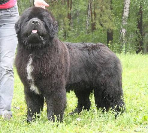 Фотография № 156381