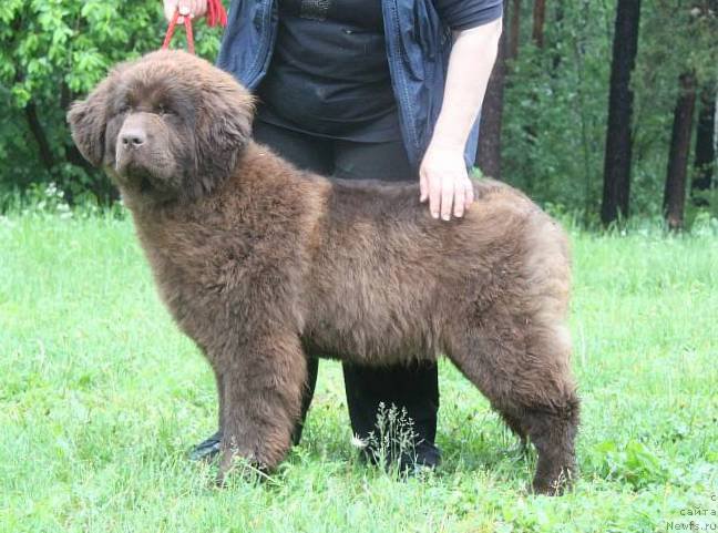 Фотография № 156384