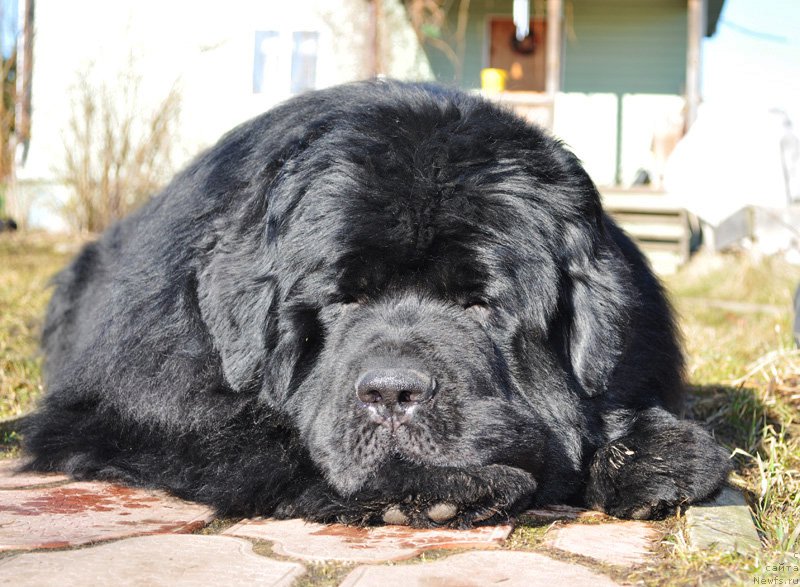 Фотография № 156399