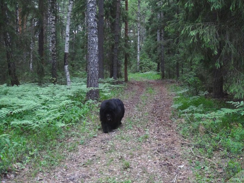 Фотография № 156405